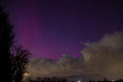 Image made by Vancanneyt Sander