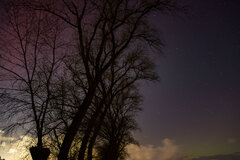 Image made by Vancanneyt Sander