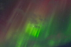 Image made by Vancanneyt Sander