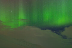 Image made by Vancanneyt Sander