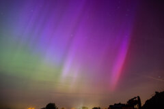 Image made by Vancanneyt Sander