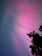 Image made by C Martinez