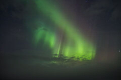 Image made by Vancanneyt Sander