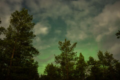 Image made by Vancanneyt Sander