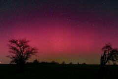 Image made by Mirjam