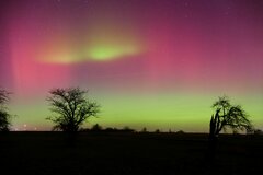 Image made by Mirjam