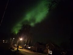 Image made by Arletta