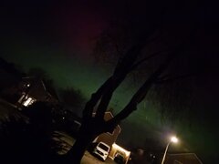 Image made by Arletta