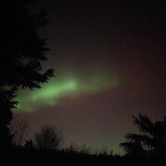 Image made by Maurice 