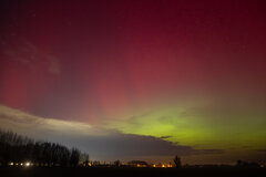 Image made by Vancanneyt Sander