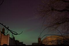 Image made by Manon Lefèvre