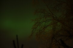 Image made by Manon Lefèvre