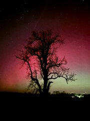 Image made by Herbert