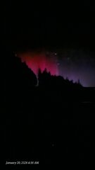 Image made by Sarah Hickman 