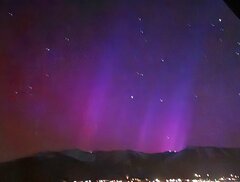 Image made by Tani Walker 