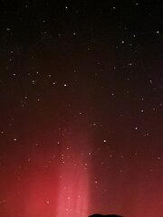 Image made by Allison Stewart