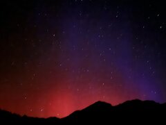 Image made by Allison Stewart