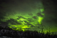 Image made by Vancanneyt Sander