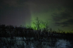 Image made by Vancanneyt Sander