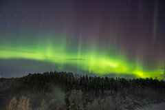 Image made by Vancanneyt Sander