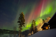 Image made by Vancanneyt Sander