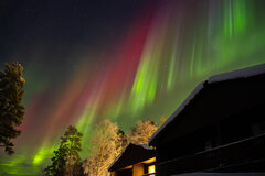 Image made by Vancanneyt Sander