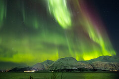 Image made by Vancanneyt Sander