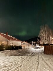 Image made by Yvette Gustafsson