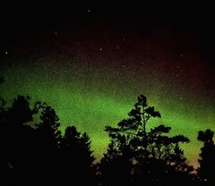 Image made by Patrik 