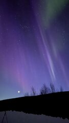 Image made by Aimee Danielson 