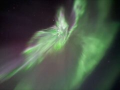 Image made by Karan Vora